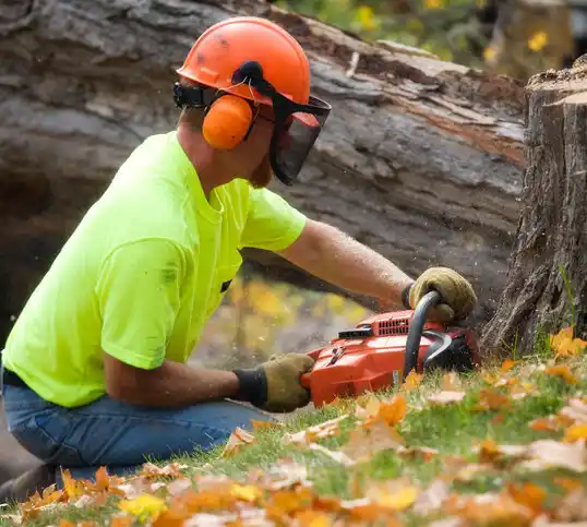 tree services Eden Valley